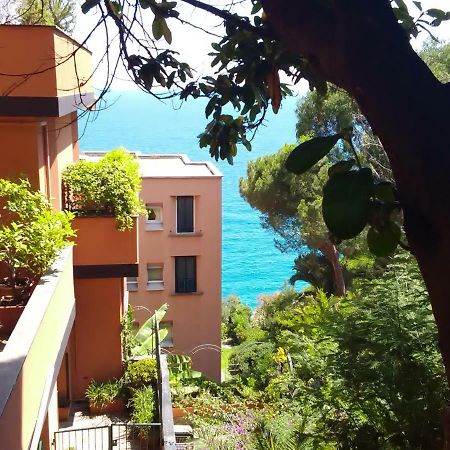 Casa Delle Mimose Apartment Varazze Exterior photo